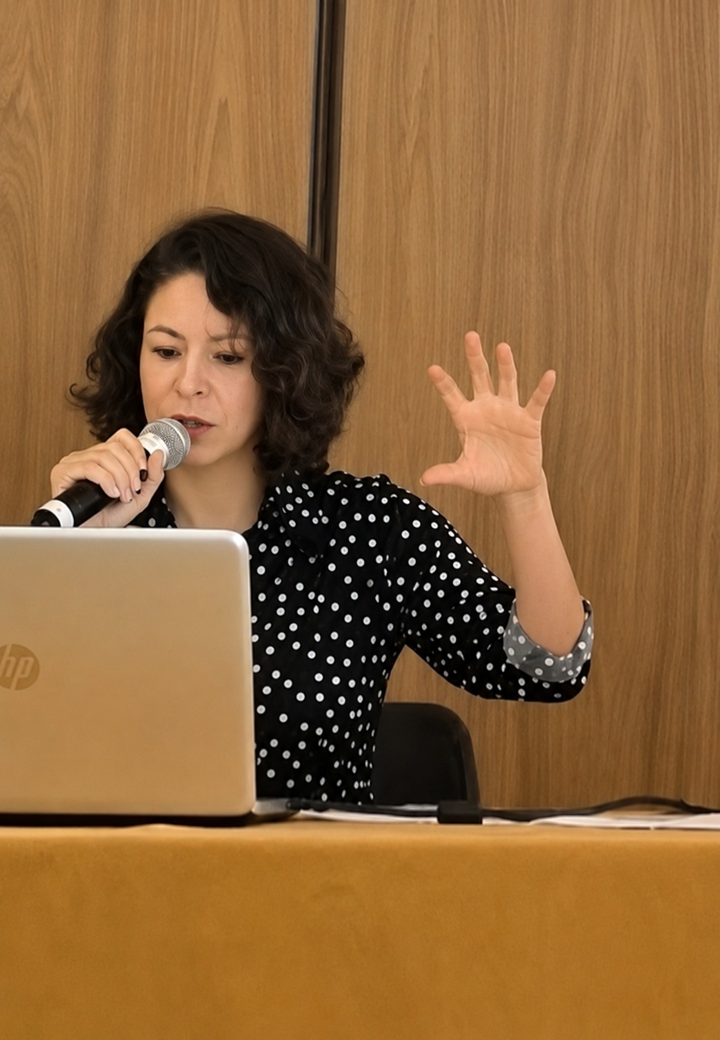 Camila Fernanda Guimarães Santiago